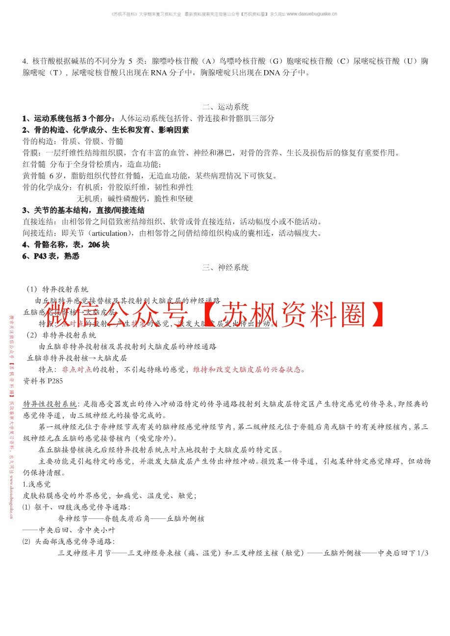 人体解剖生理学